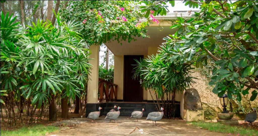 Ocean Spray Kālapettai Exterior foto